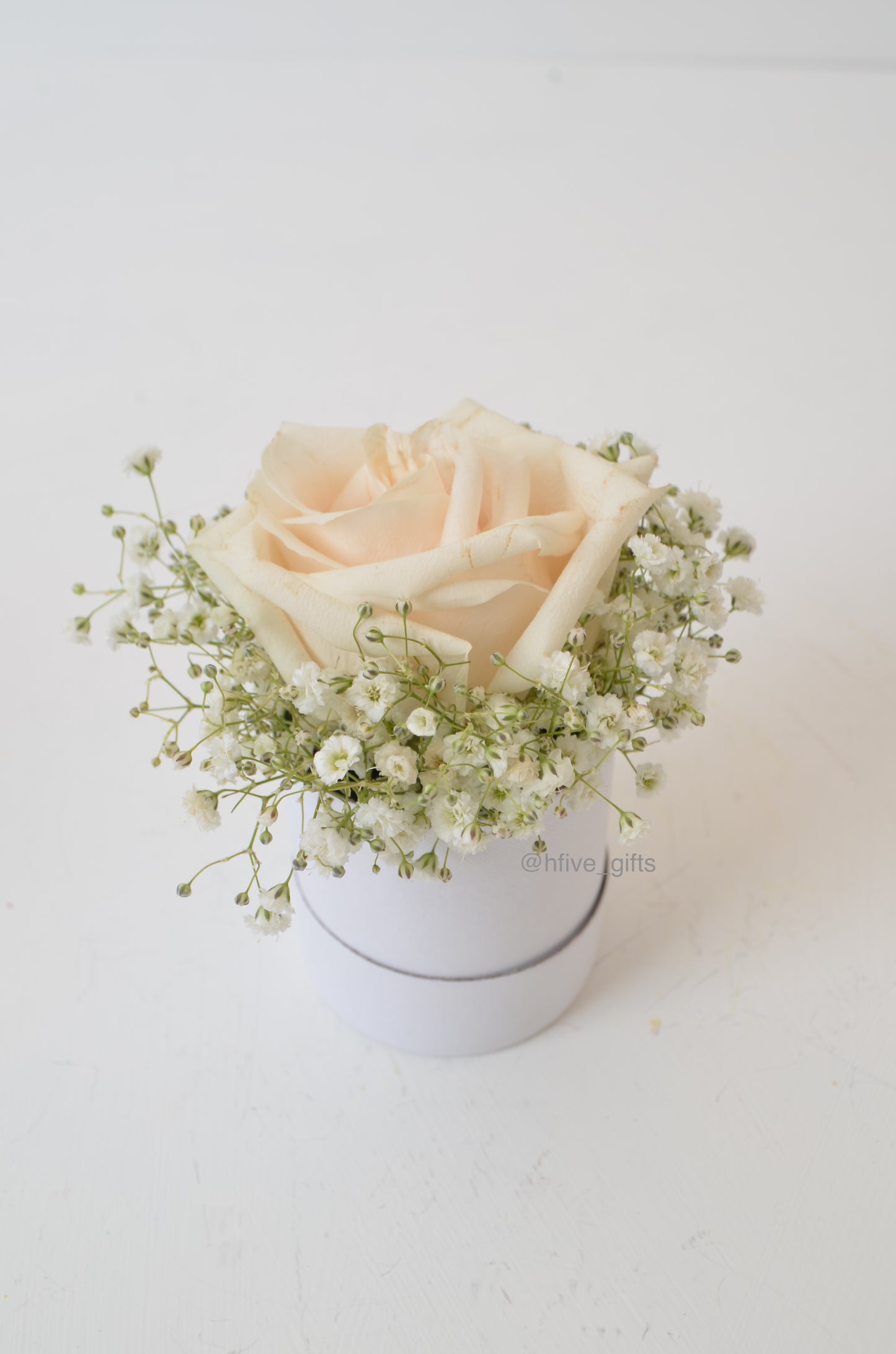 Mini Rose - Set of 6